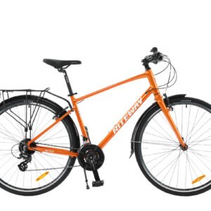 Xe Đạp Riteway Wind